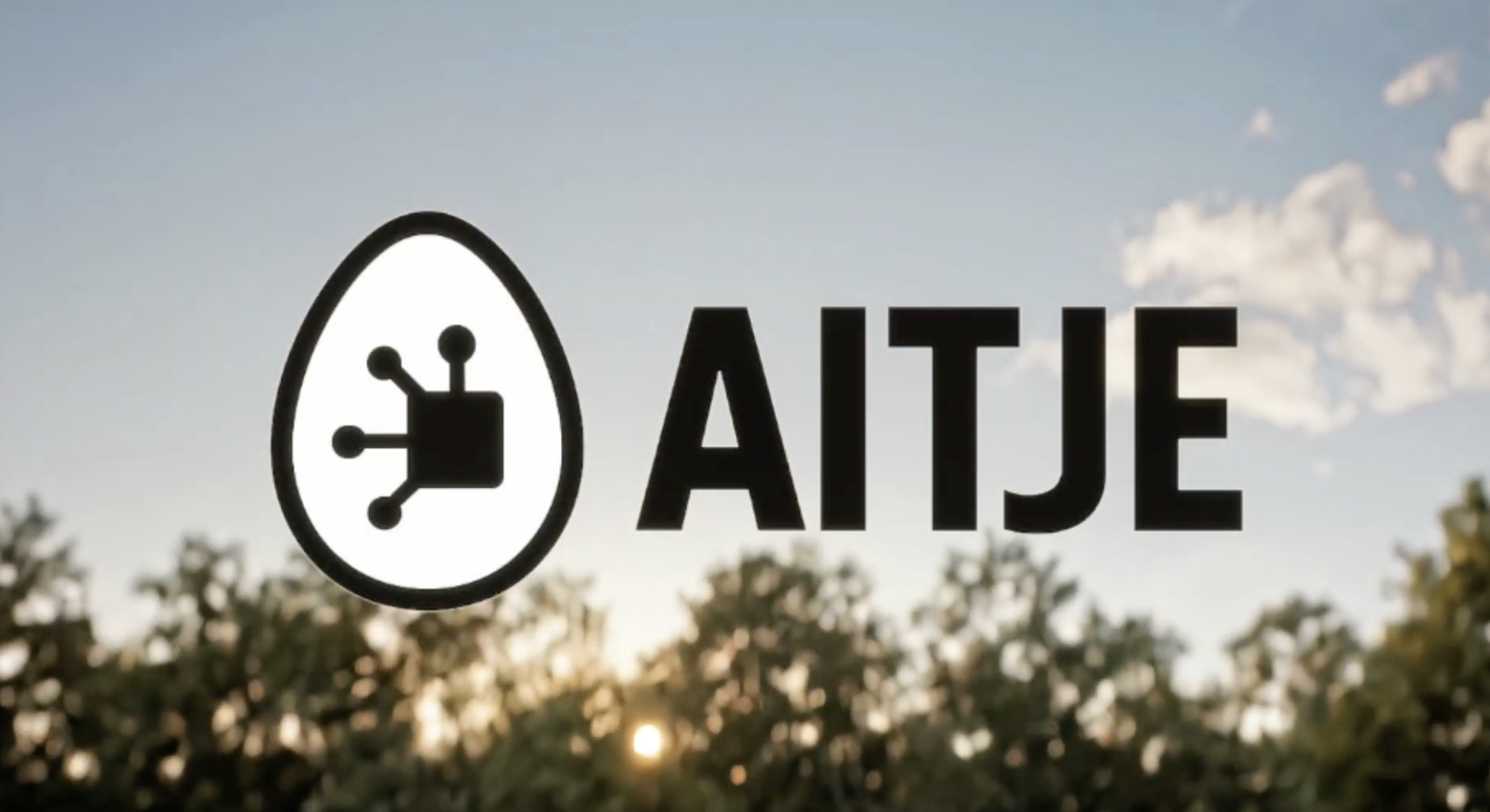 AITJE services