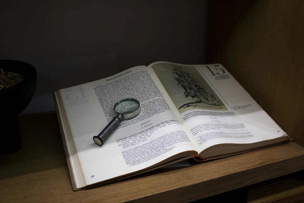 A magnifying glass on an open book for checking information.
